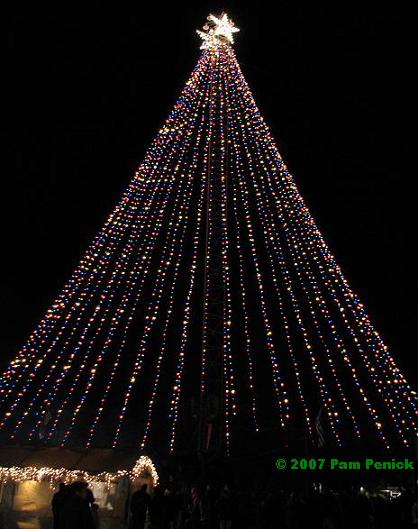 Merry Christmas from Zilker Park! - Digging