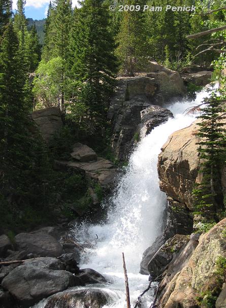 High in Rocky Mountain National Park - Digging