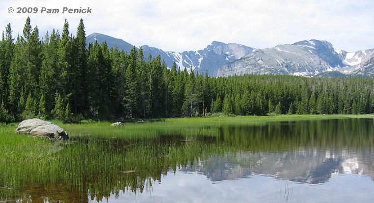 RMNP License Plate - Rocky Mountain Conservancy