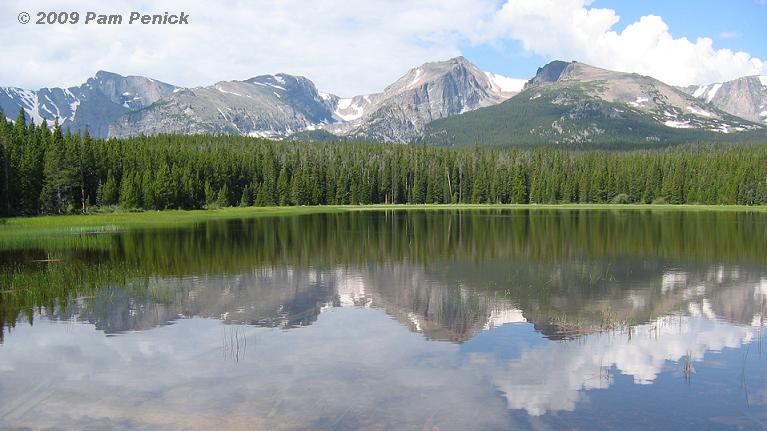 RMNP License Plate - Rocky Mountain Conservancy