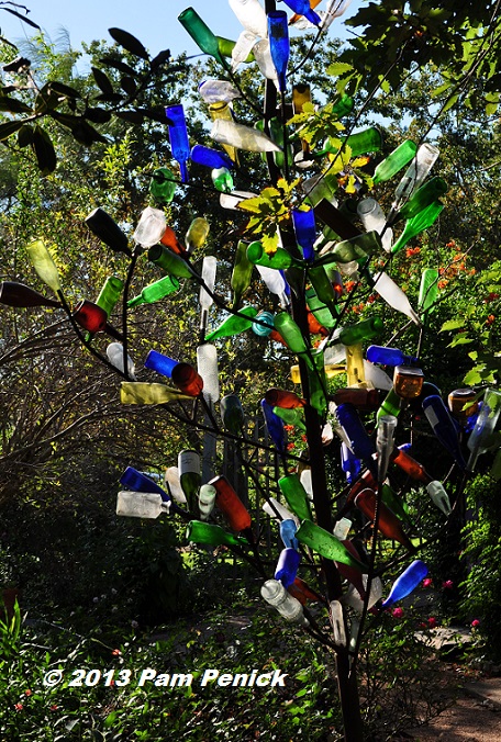 Bottle Tree  Star Nursery Garden and Rock Centers