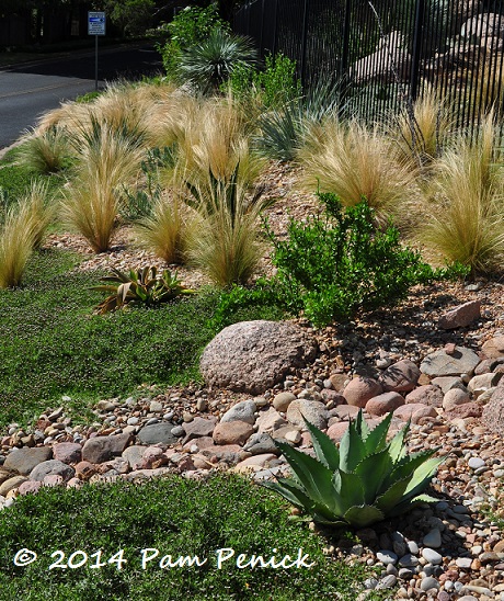 Mid-century house inspires Palm Springs-style garden in Austin - Digging