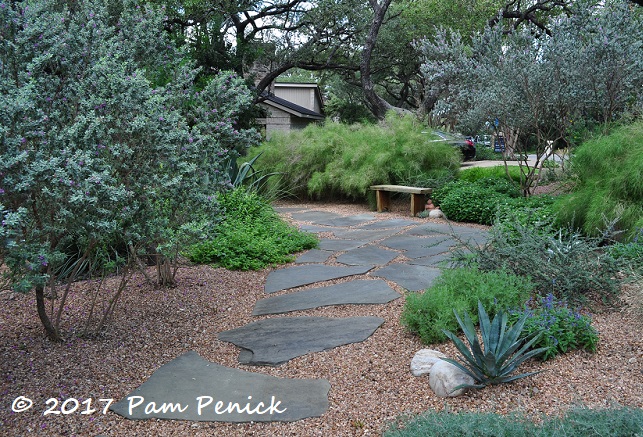 Linda Peterson's green-walled xeriscape garden: San Antonio Open Days ...