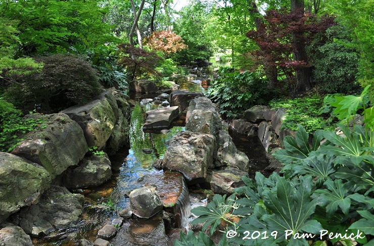 Spring flowers and foliage at Dallas Arboretum - Digging