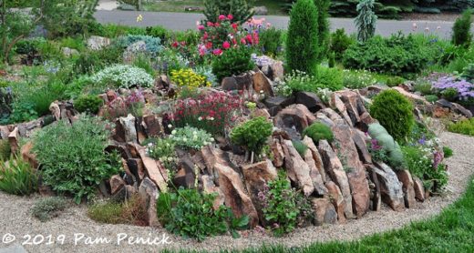 Crevice gardens to crave at the garden of Carol Shinn: Denver Garden ...