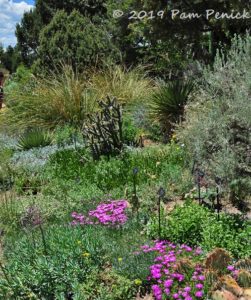 Steppe garden, foxtail lilies, and sculpture at Denver Botanic Gardens ...