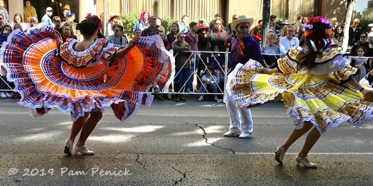 Celebrating life at Dia de los Muertos parade - Digging