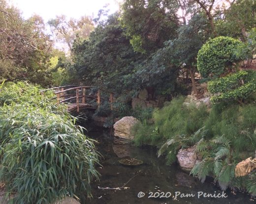 Winter stroll at Zilker Botanical Garden - Digging