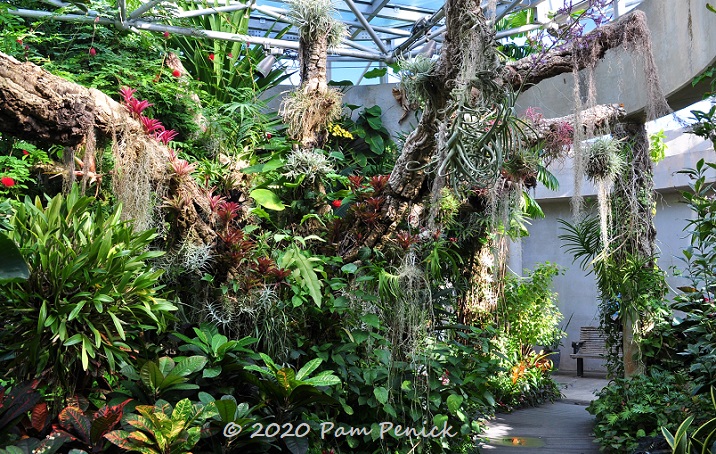Tropical conservatory and origami sculpture at San Antonio Botanical ...