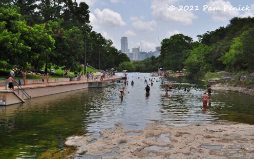 Swimming at Barton Springs Pool, the ultimate summer cool-down - Digging