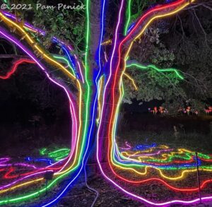 Houston Botanic Garden brightens the holidays with Lightscape - Digging