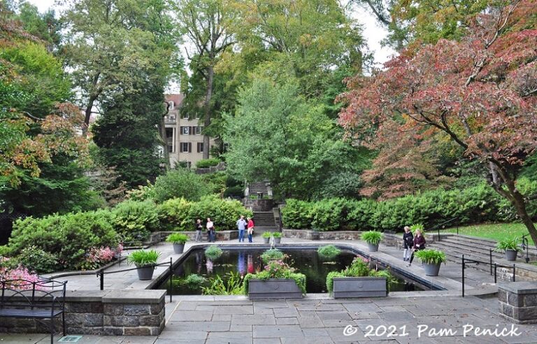 Enchanted Woods and reflecting pool garden at Winterthur, part 2 - Digging