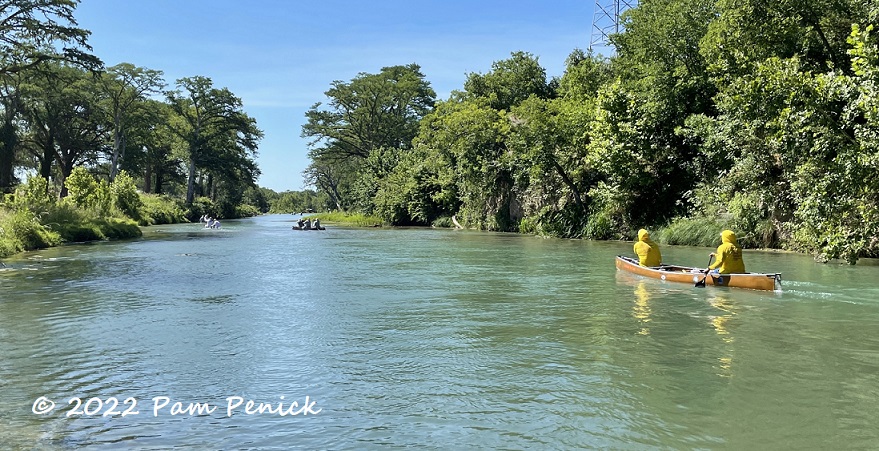 water safari san marcos tx