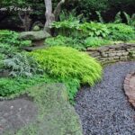 East meets Midwest in the garden of Linda Brazill and Mark Golbach, Part 1