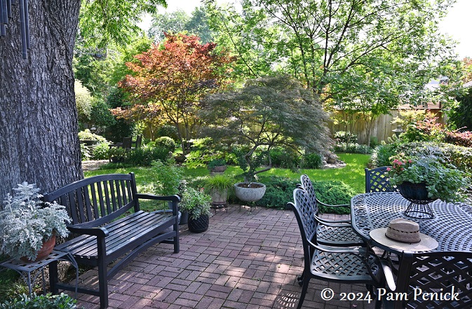 Cindy Bolz's Asian-style garden of Japanese maples