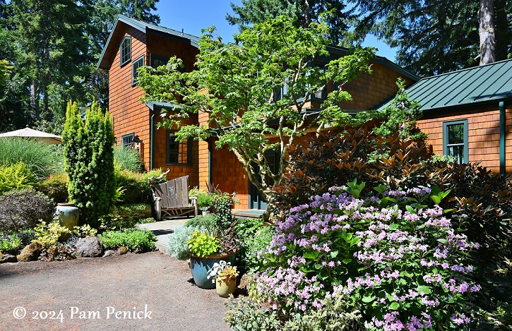 A woodland art collector's garden on Vashon Island