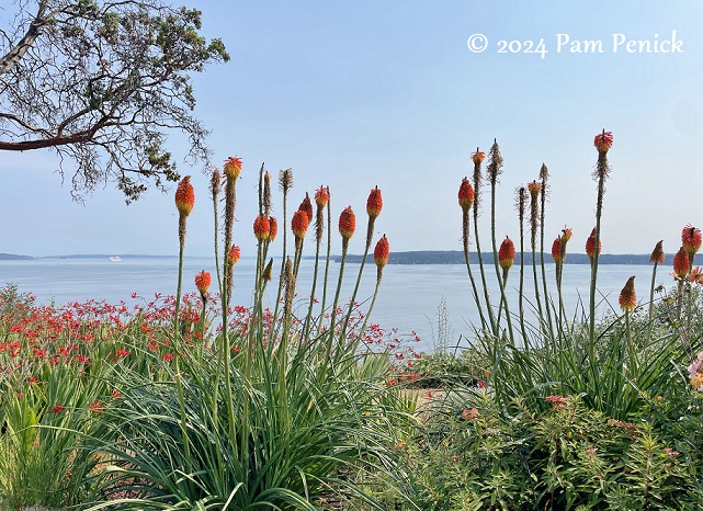 Colorful garden with a view of Puget Sound