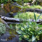 A plant playground at the Risdahl-Pittman Garden