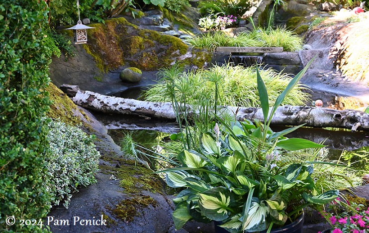 A plant playground at the Risdahl-Pittman Garden