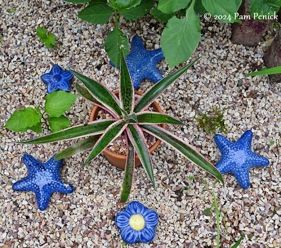 More exuberance at the Sparler-Schouten Garden, part 2