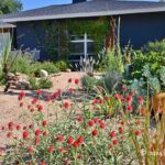 Julie Clark and Mae Sanchez's desert-inspired garden