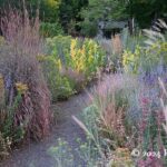 Fall at SummerHome Garden, Part 1