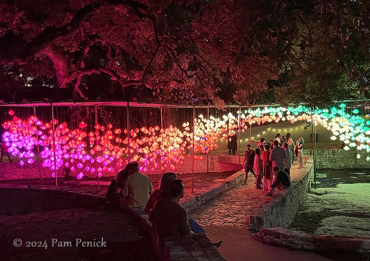 Waterloo Greenway light installations return for Austin's 10th anniversary Creek Show