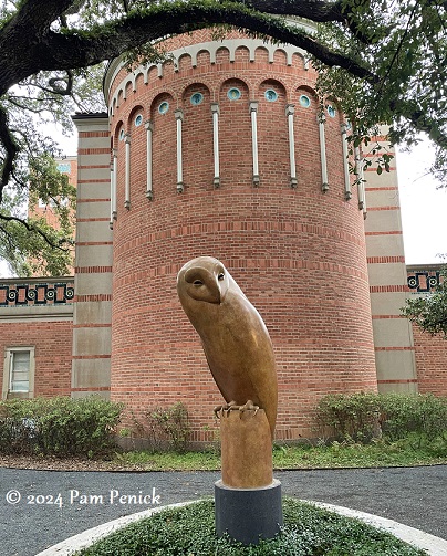 Checking out the new Academic Quad at Rice