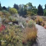 Fall at Denver Botanic Gardens: Pond, prairie garden, and Victorian garden