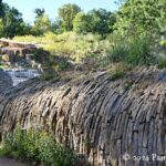 Fall at Denver Botanic Gardens: Steppe Garden, ornamental grasses, and woodland garden