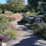 Fall at Denver Botanic Gardens: Perennials, conifers, and Rock Alpine Garden