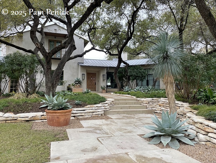 A limestone entry walk with agaves and yucca